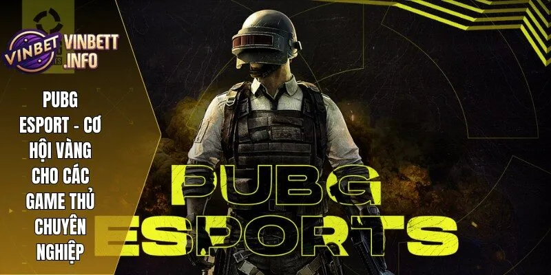 Pubg Esport
