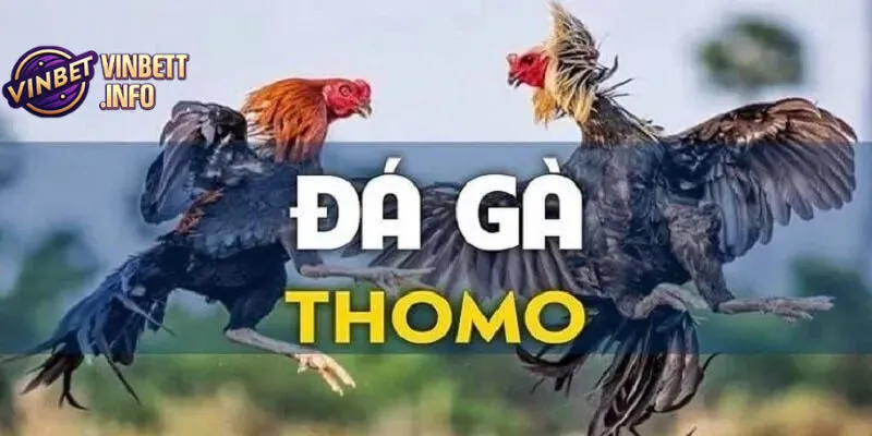 Chọn kèo cược phù hợp để gia tăng lợi nhuận tối đa