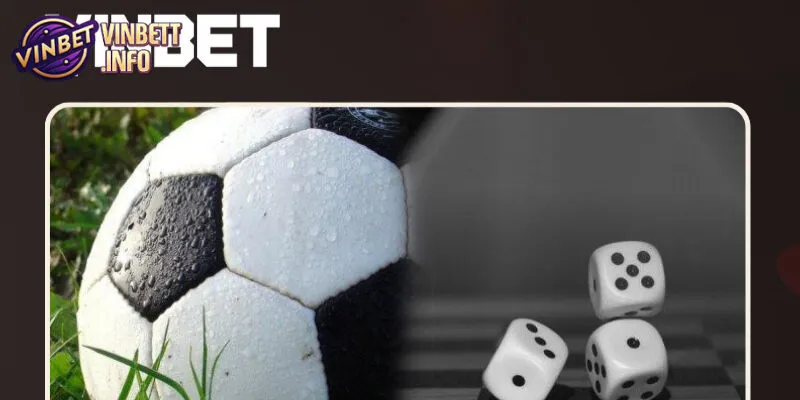 Thể thao Vinbet cung cấp nhiều hình thức cược linh hoạt